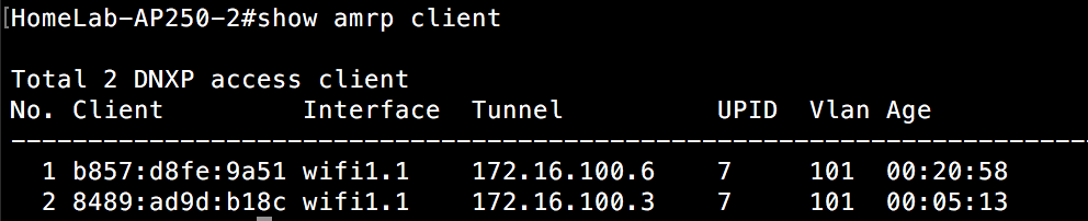 Show AMRP Client - L3 roam on AP250-Switch2