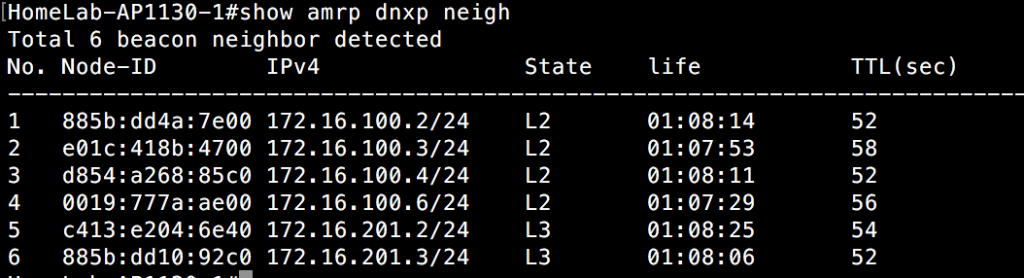 Show AMRP DNXP Neighbor - Switch 1