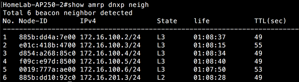 Show AMRP DNXP Neighbor - Switch 2