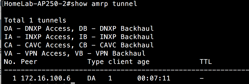 Show AMRP Tunnel - AP250 Switch 2