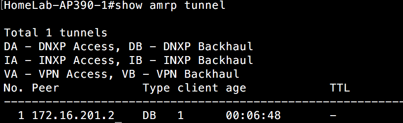 Show AMRP Tunnel - AP390 switch 1